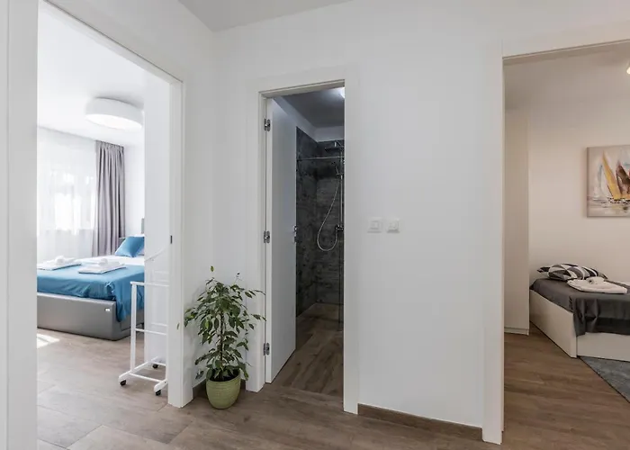 Domus Mea *